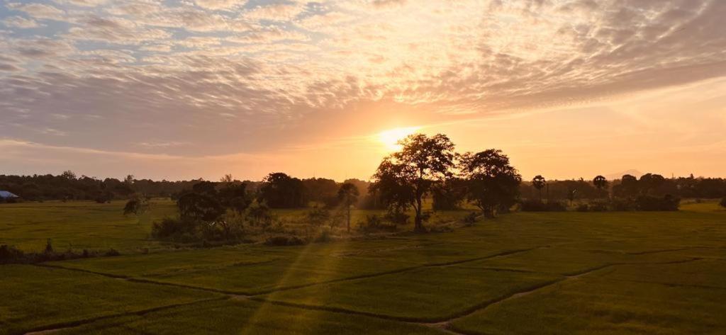 Ehala Family Rest Hotel Anuradhapura Luaran gambar